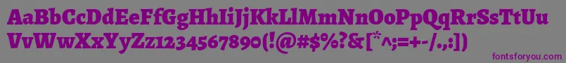 AlegreyaBlack Font – Purple Fonts on Gray Background