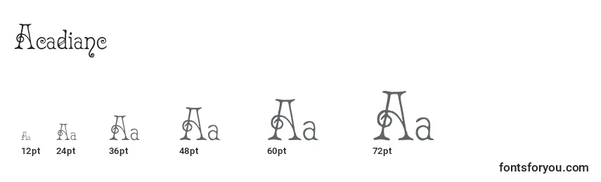 Acadianc Font Sizes