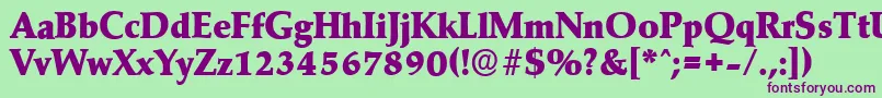 MarathonserialHeavyRegular Font – Purple Fonts on Green Background
