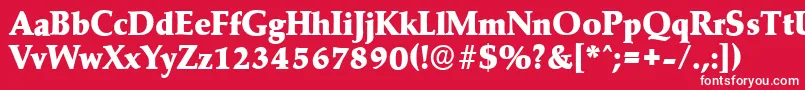 MarathonserialHeavyRegular Font – White Fonts on Red Background