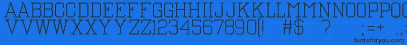 TheNest Font – Black Fonts on Blue Background