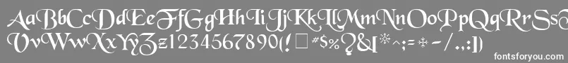 TenaceSsi Font – White Fonts on Gray Background