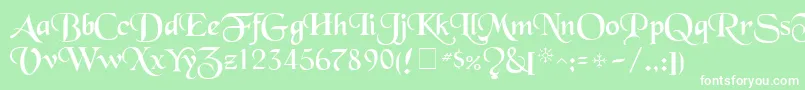 フォントTenaceSsi – 緑の背景に白い文字
