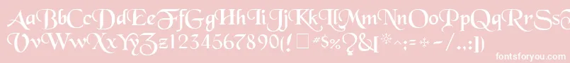 フォントTenaceSsi – ピンクの背景に白い文字