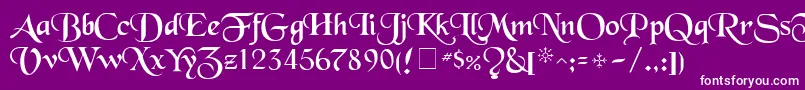 TenaceSsi Font – White Fonts on Purple Background