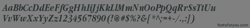ClassicrussiancBolditalic Font – Black Fonts on Gray Background