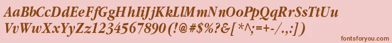 ClassicrussiancBolditalic Font – Brown Fonts on Pink Background