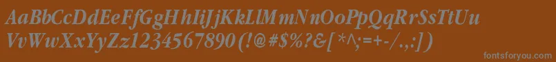 ClassicrussiancBolditalic Font – Gray Fonts on Brown Background