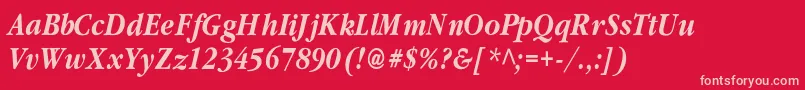 ClassicrussiancBolditalic Font – Pink Fonts on Red Background
