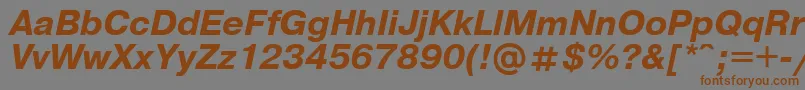 UkrainianpragmaticaBolditalic Font – Brown Fonts on Gray Background