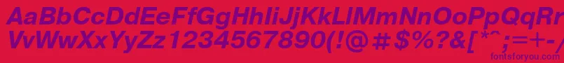 UkrainianpragmaticaBolditalic Font – Purple Fonts on Red Background