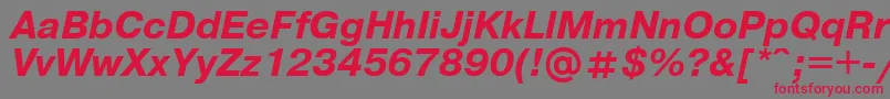 UkrainianpragmaticaBolditalic Font – Red Fonts on Gray Background