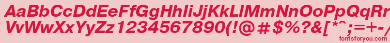 Шрифт UkrainianpragmaticaBolditalic – красные шрифты на розовом фоне