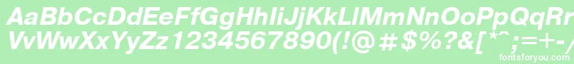 UkrainianpragmaticaBolditalic Font – White Fonts on Green Background