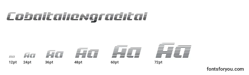 Cobaltaliengradital Font Sizes