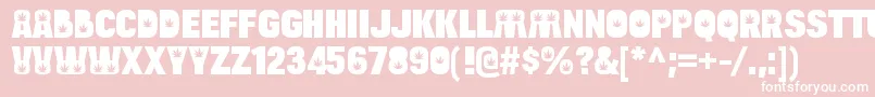 BulltoadhempRegular Font – White Fonts on Pink Background