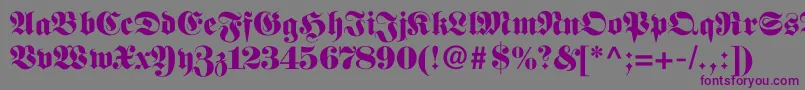 Fellowmaiden Font – Purple Fonts on Gray Background