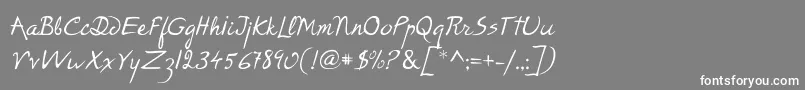 P22RodinRegular Font – White Fonts on Gray Background