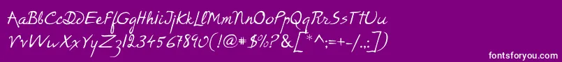 P22RodinRegular Font – White Fonts on Purple Background