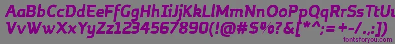MargotBoldItalic Font – Purple Fonts on Gray Background