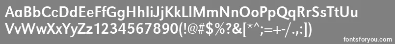 Urwgrotesktnar Font – White Fonts on Gray Background