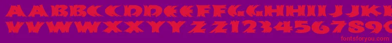 Haystackmf Font – Red Fonts on Purple Background