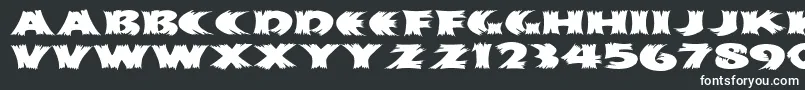 Haystackmf-fontti – valkoiset fontit mustalla taustalla