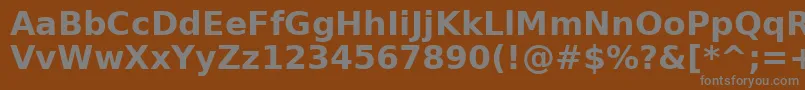 DejavuSansBold Font – Gray Fonts on Brown Background