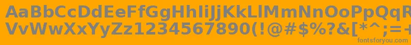 フォントDejavuSansBold – オレンジの背景に灰色の文字