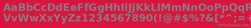 DejavuSansBold Font – Gray Fonts on Red Background