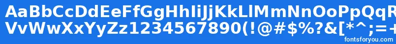 Czcionka DejavuSansBold – białe czcionki na niebieskim tle