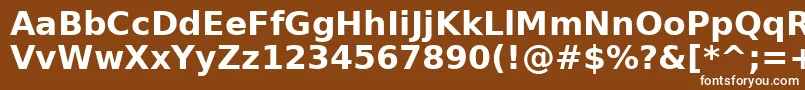 DejavuSansBold Font – White Fonts on Brown Background