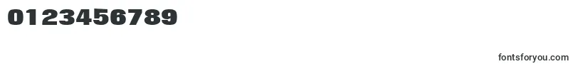 FolioLtExtraBold Font – Fonts for Numbers and Digits