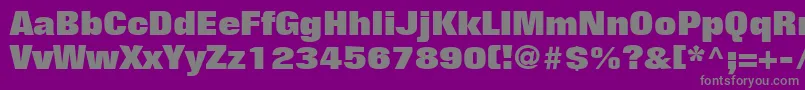 FolioLtExtraBold Font – Gray Fonts on Purple Background