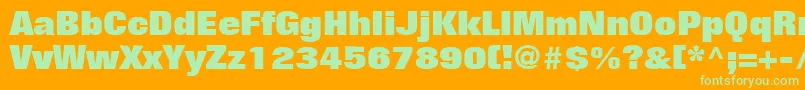 FolioLtExtraBold Font – Green Fonts on Orange Background