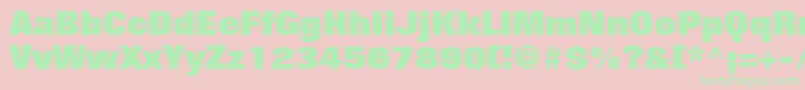 FolioLtExtraBold Font – Green Fonts on Pink Background