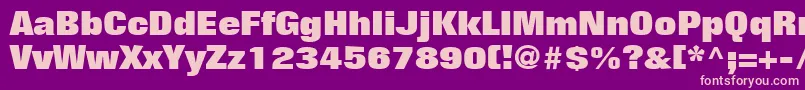 FolioLtExtraBold Font – Pink Fonts on Purple Background