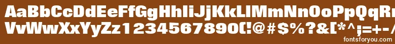 FolioLtExtraBold-Schriftart – Weiße Schriften auf braunem Hintergrund