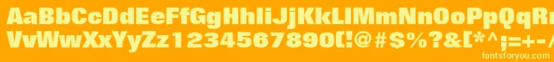 FolioLtExtraBold Font – Yellow Fonts on Orange Background