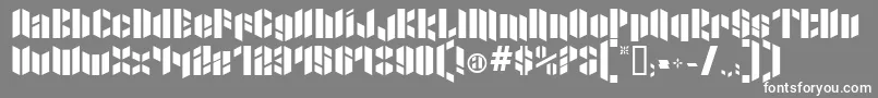 XactoBlade Font – White Fonts on Gray Background