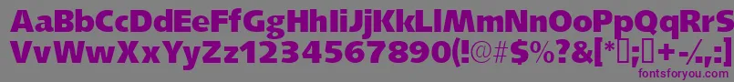 Lansettessk Font – Purple Fonts on Gray Background