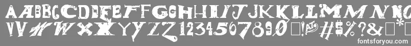 DudeRanch Font – White Fonts on Gray Background