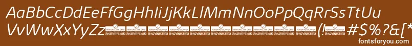 KabrioSoftLightItalicTrial Font – White Fonts on Brown Background