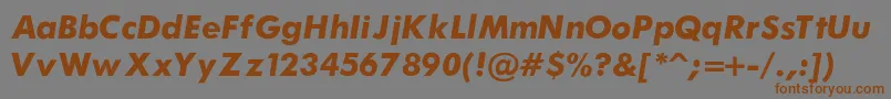 FuturaBoldItalic Font – Brown Fonts on Gray Background