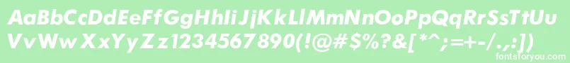 フォントFuturaBoldItalic – 緑の背景に白い文字
