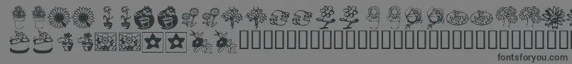 KrKatsFlowers3 Font – Black Fonts on Gray Background