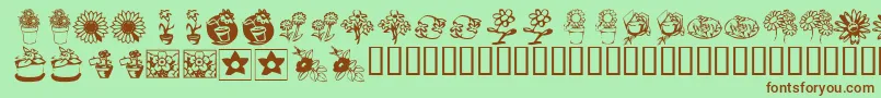 KrKatsFlowers3 Font – Brown Fonts on Green Background