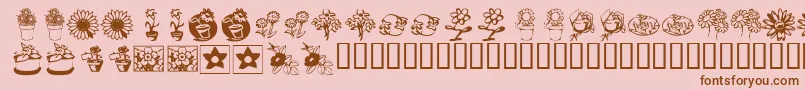 KrKatsFlowers3 Font – Brown Fonts on Pink Background