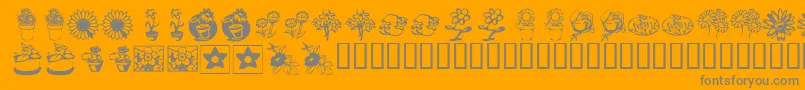 KrKatsFlowers3 Font – Gray Fonts on Orange Background