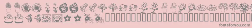 KrKatsFlowers3 Font – Gray Fonts on Pink Background